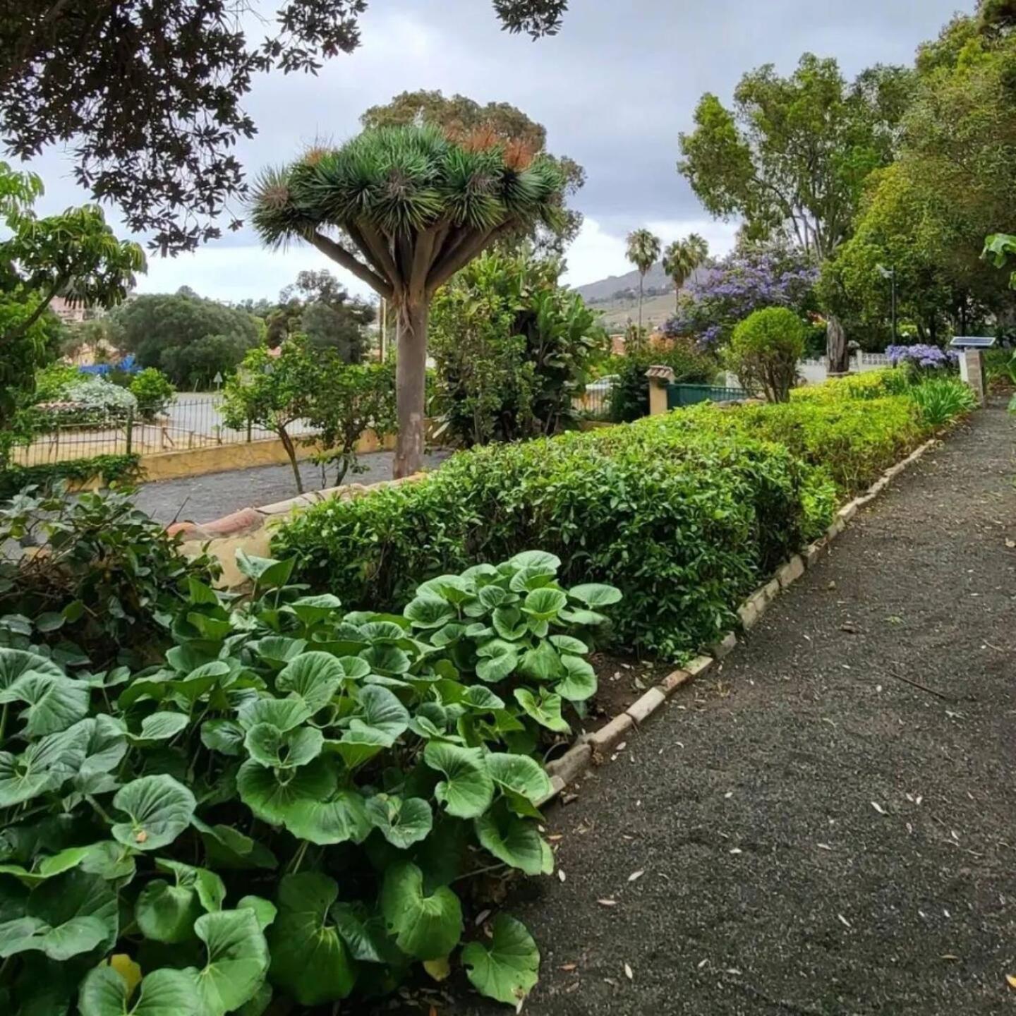 El Batan Resort Santa Brígida Esterno foto